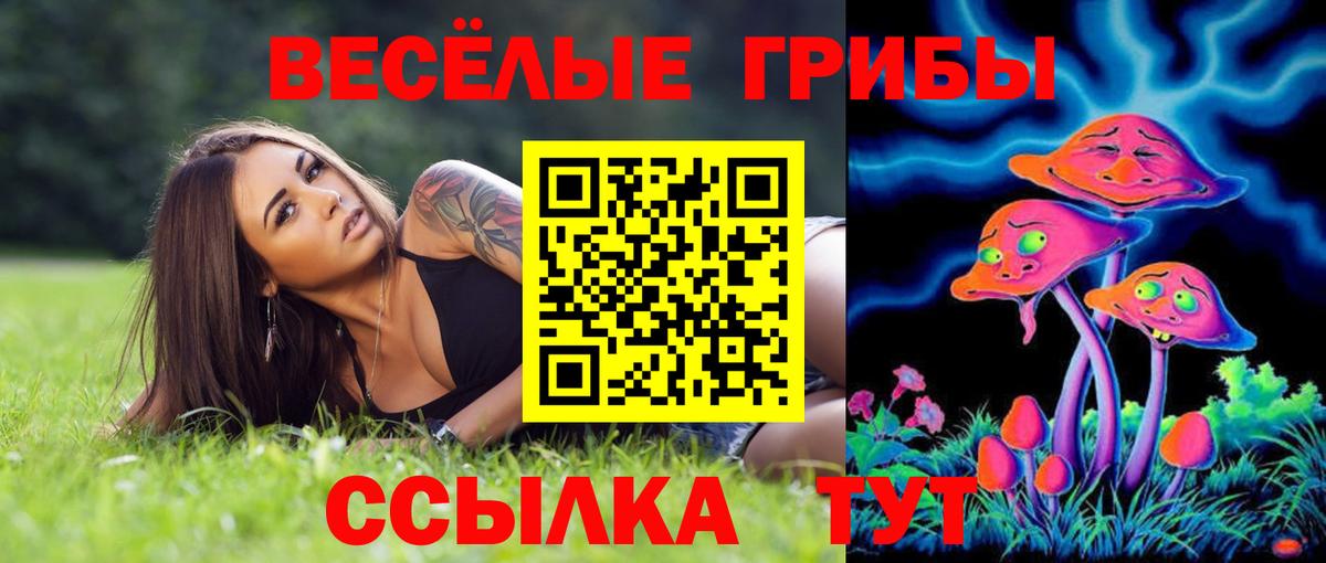 Галлюциногенные грибы GOLDEN TEACHER Кольчугино